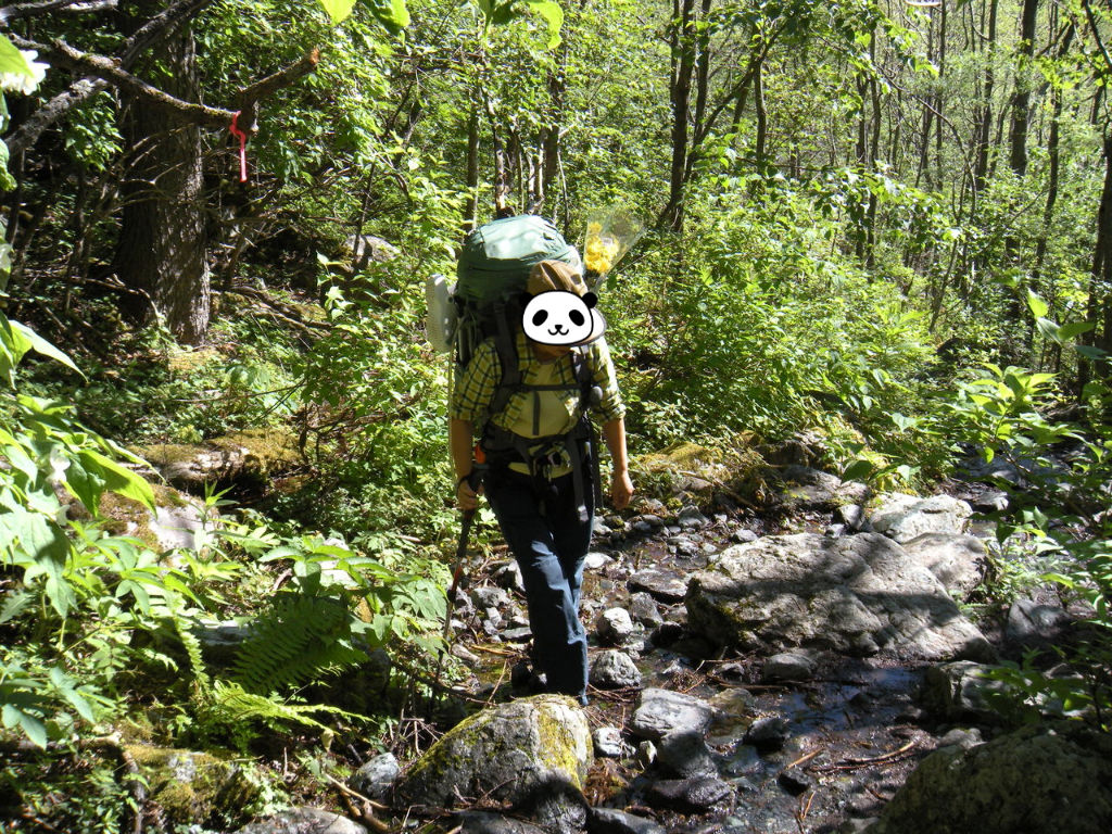 南アルプス北岳登山 登山最高 ヒロシの山行
