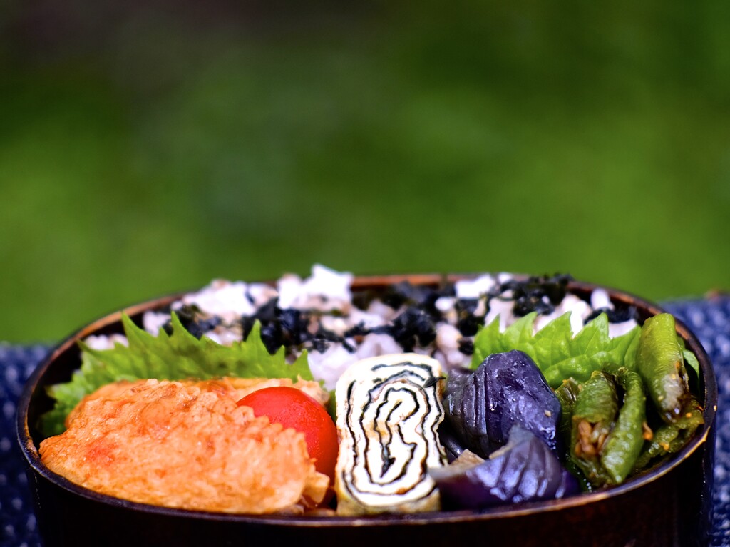 鶏手羽中のトマト煮 やまおやじの弁当通信