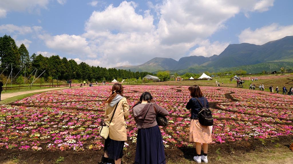初めての花公園 山楽日記と下界通信