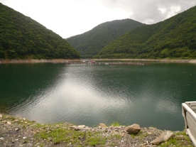 飛騨河合の河ふぐ 飛騨やまさち工房 飛騨市森林組合山菜加工場 のブログ