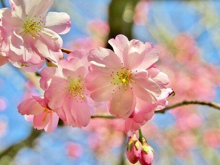 一期一会を英語では何と言う ことわざ英語で何と言う 一期一会を英語では何と言う ことわざ英語で何と言う