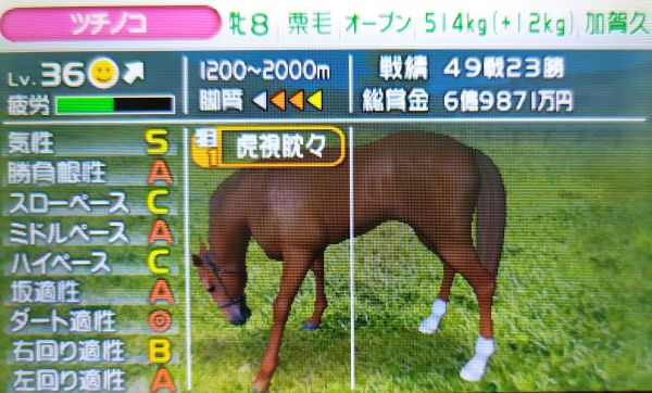 3dsのg1グランプリ 1頭目しか重賞勝てないんですけど ゲーム脳人