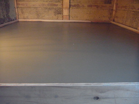 RIMG0220