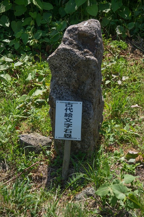 2019060263
