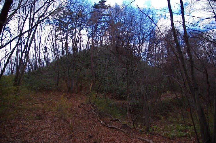 2015123022