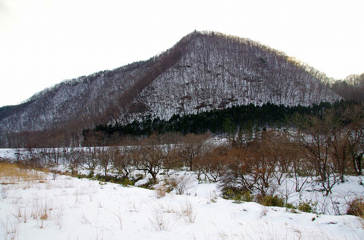 2015010523