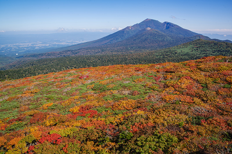 20250828_autumn_mitsuishi01