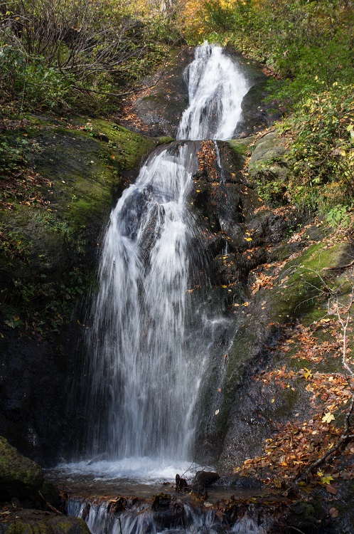 2019110413