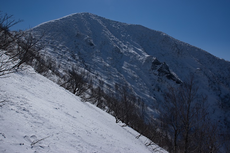 2019022422