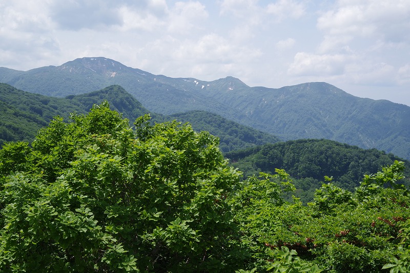 2025061833