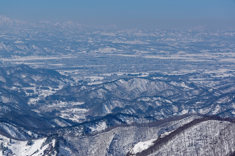 2019022435