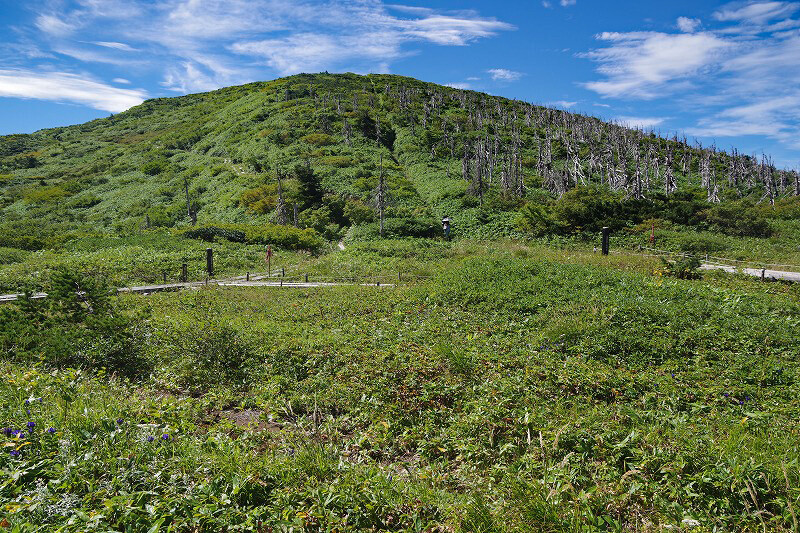 2023.9.1 熊野岳（山形・蔵王連峰） : （続）東北の山遊び