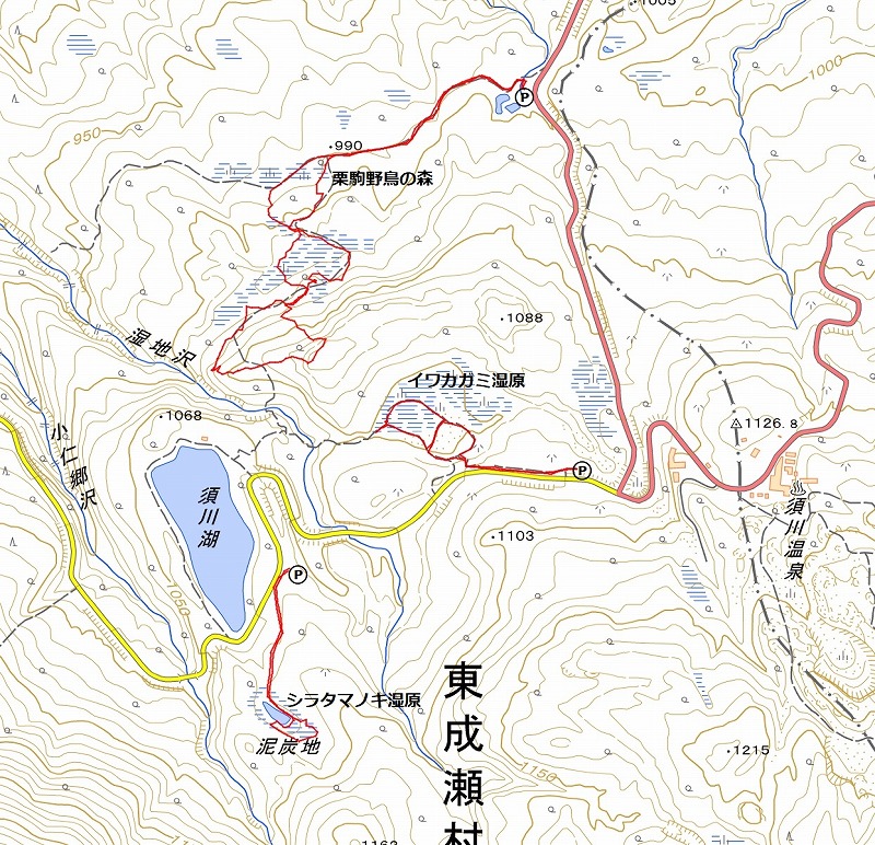 2025060950