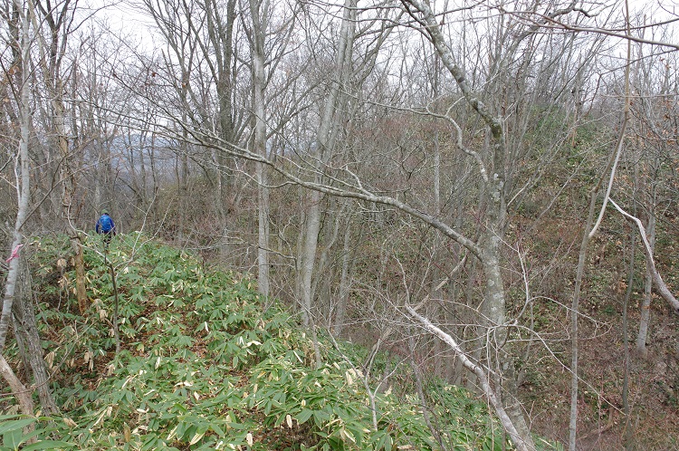 2019112733
