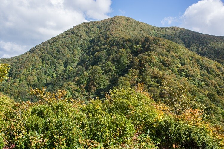 2020100220