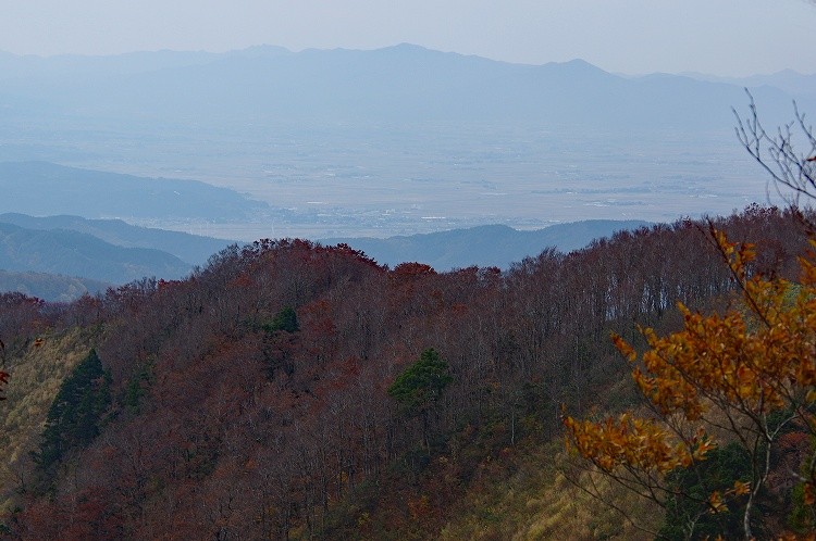 2017102825
