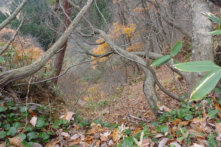 2019112734