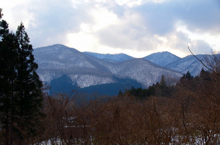 2015010528