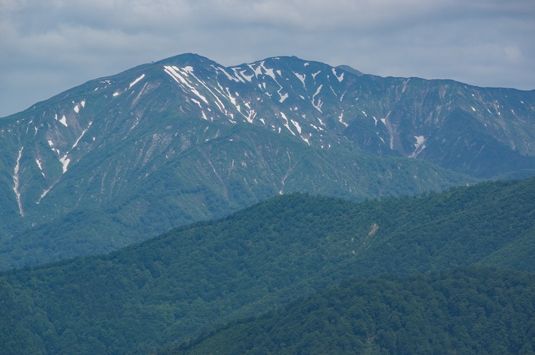 禿岳