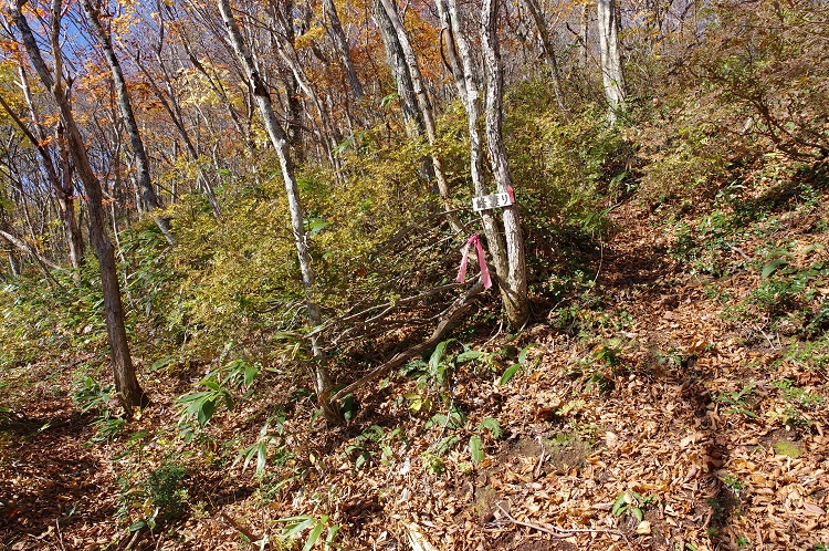 2018110322