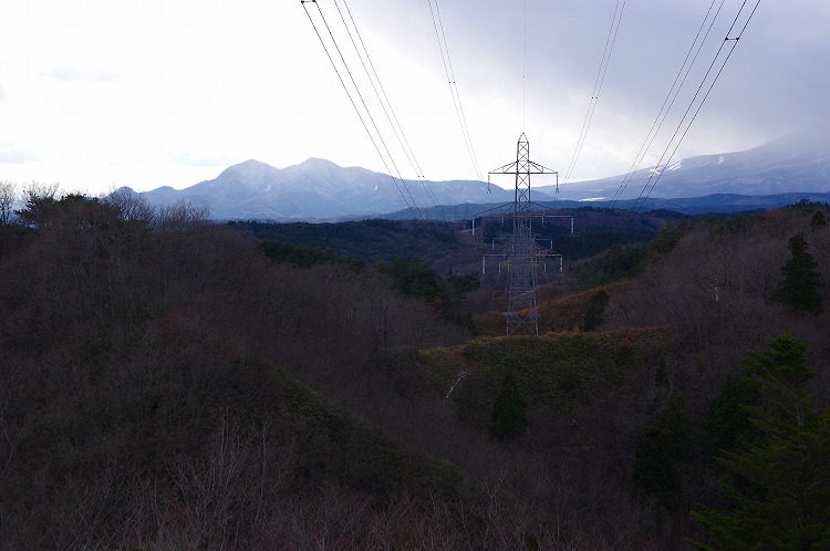 2015123011