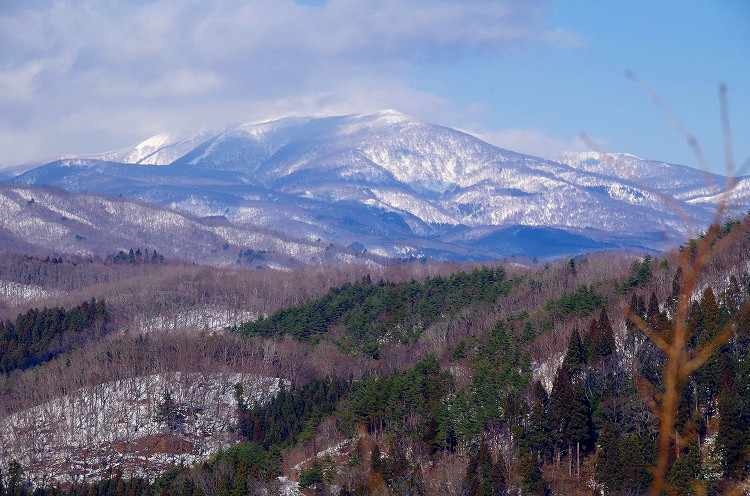 2015010503