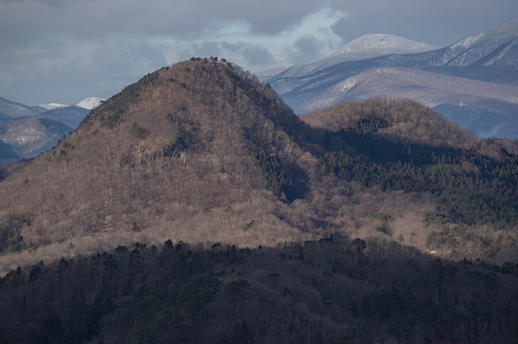 2019122937