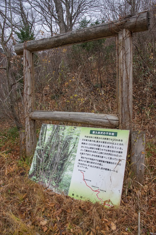 2019112705