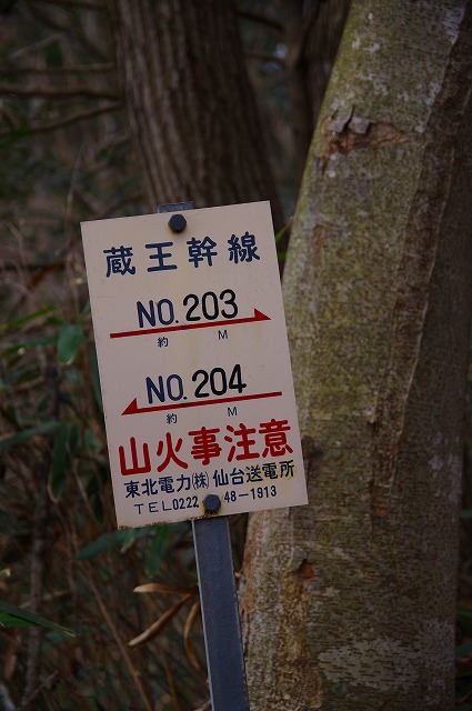 2015123005