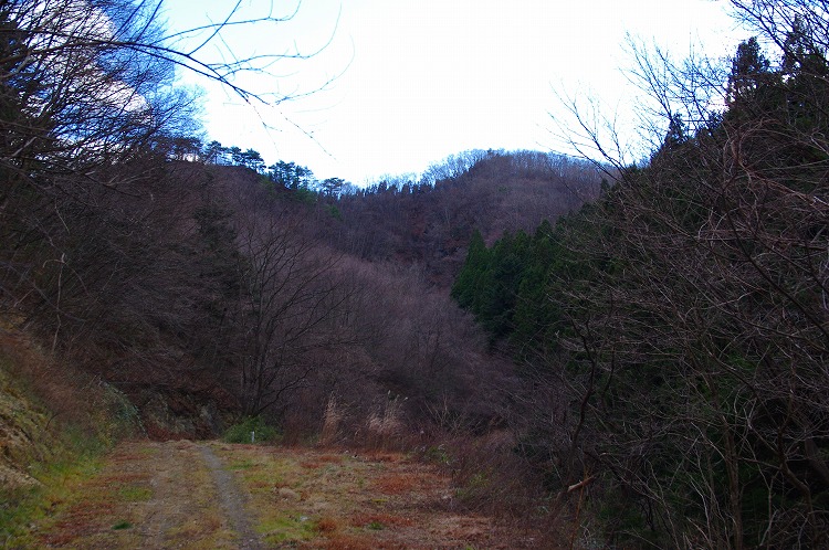 2015123028