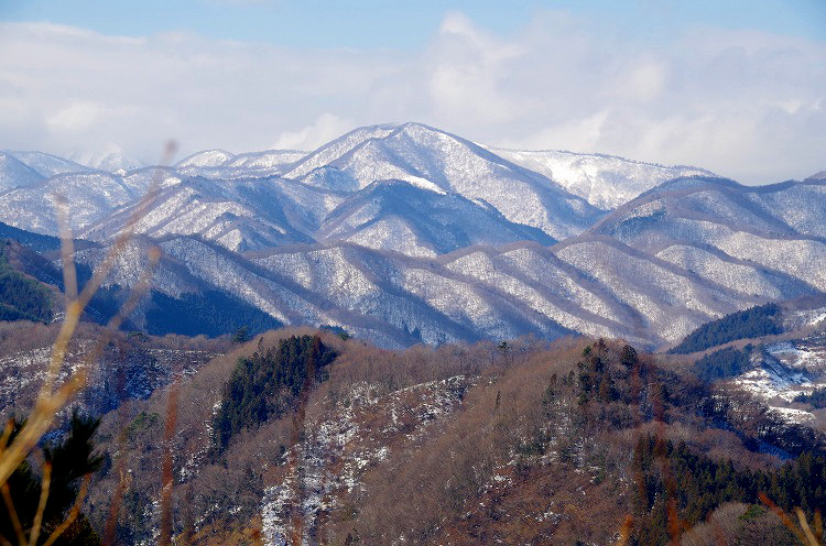 2015010505