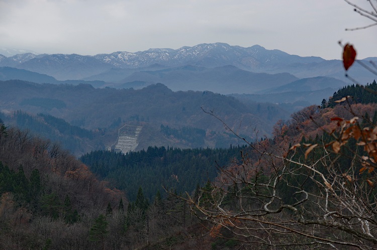 2019112732