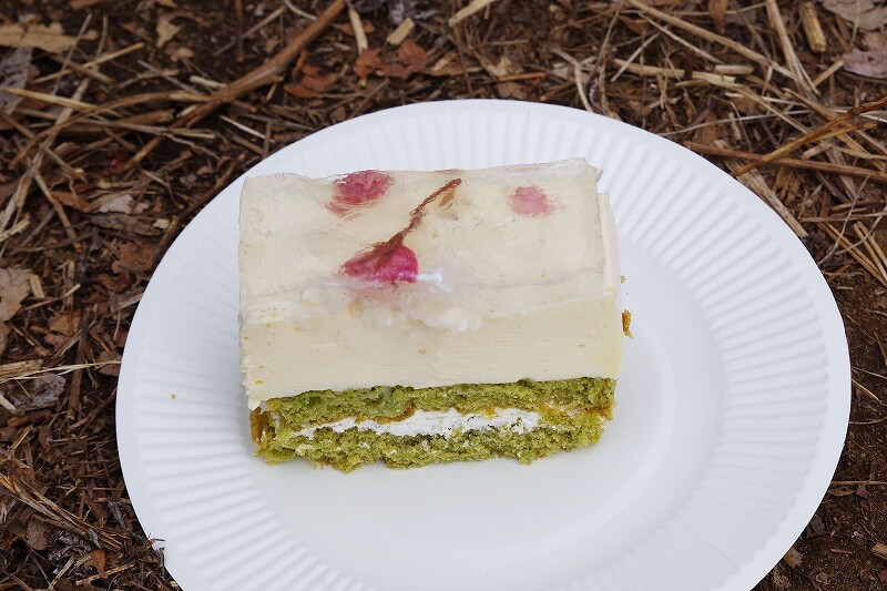 2024040248桜のレアチーズケーキ