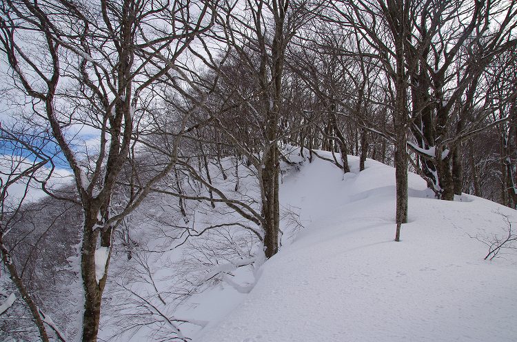 2015011426