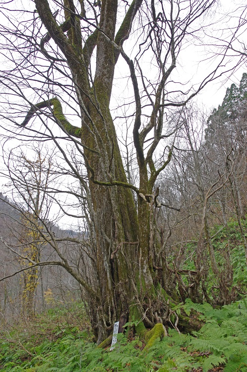 2019112710