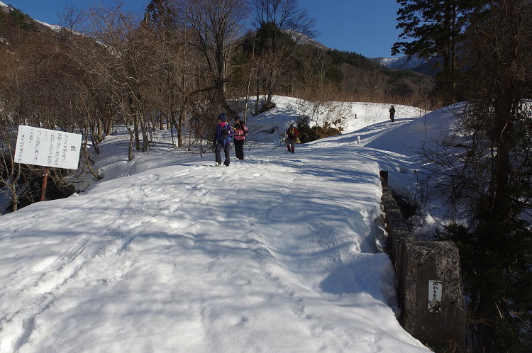 2019022450
