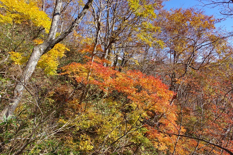 2018110318