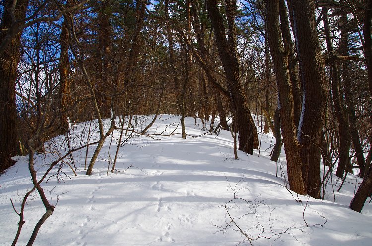 2015011409