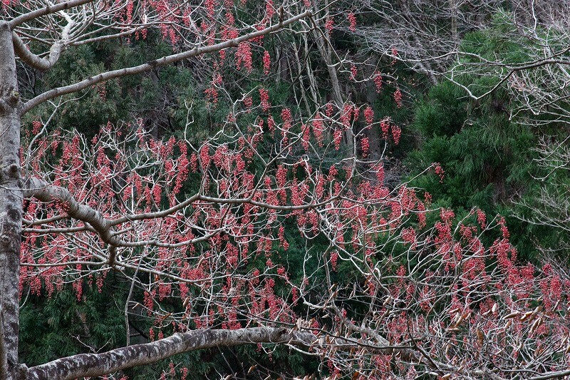 2026011803イイギリ