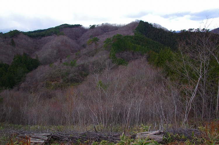 2015123013