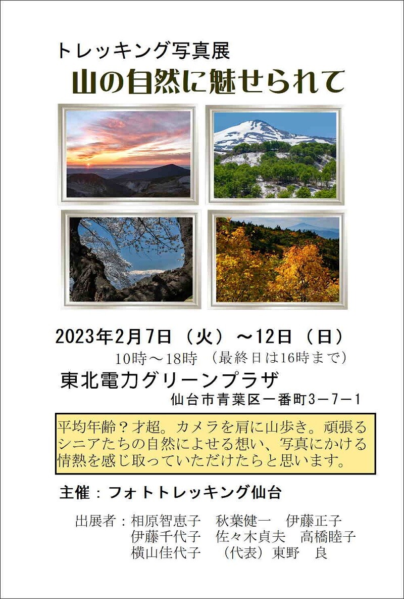 フォトトレ案内葉書