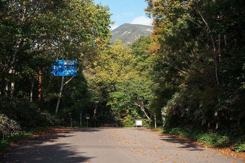 樹海　野外露出 2024.10.1 源太ヶ岳から三ッ石山（岩手・裏岩手連峰） : （続）東北の山遊び