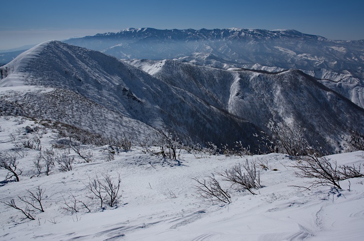2019022428
