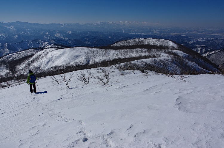 2019022445