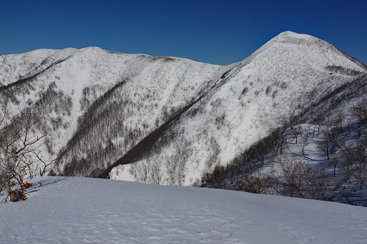 2019022447