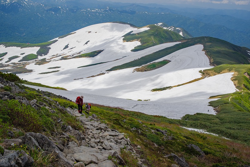 2026061635