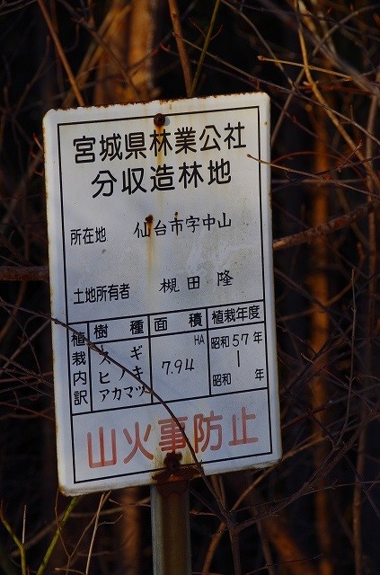 2015010525