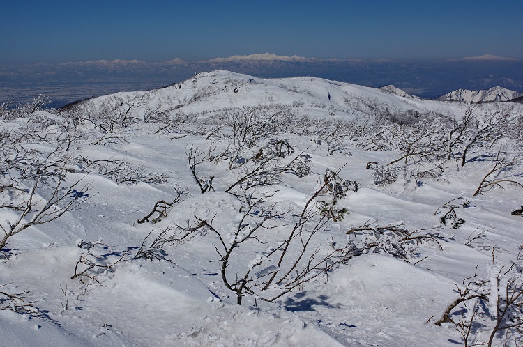 2019022432