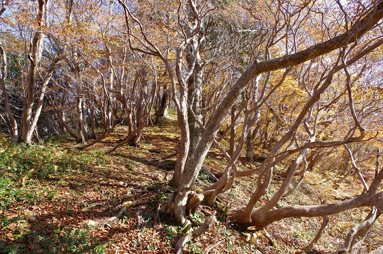 2018110327