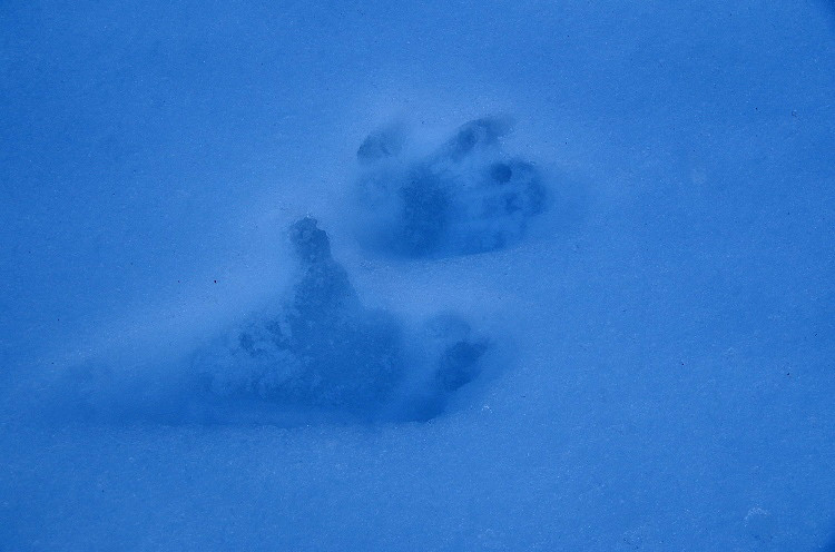 2015010522